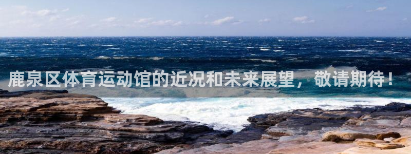 oety欧亿