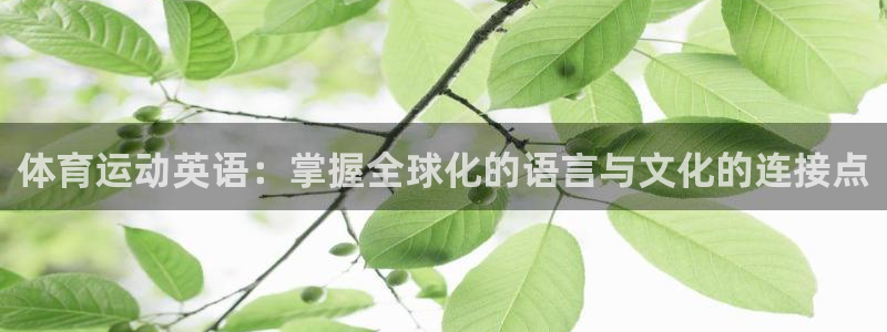 oety欧亿