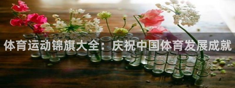 oety欧亿：体育运动锦旗大全：庆祝中国体育发展成就