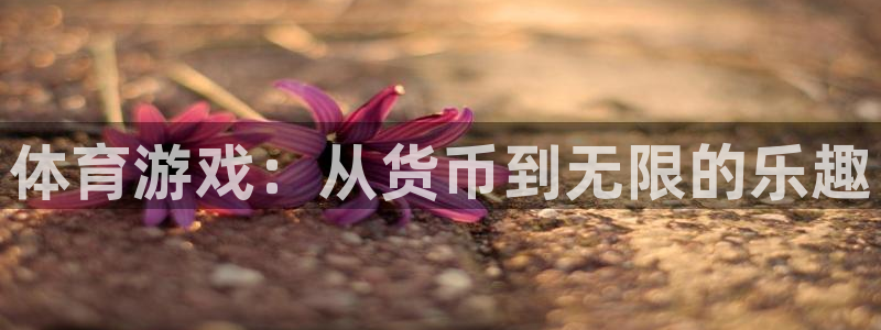 oety欧亿