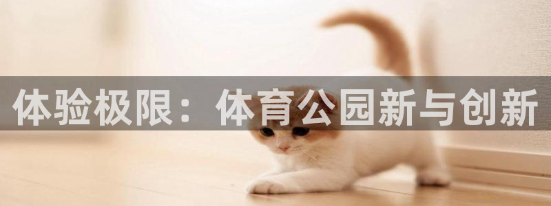 oety欧亿