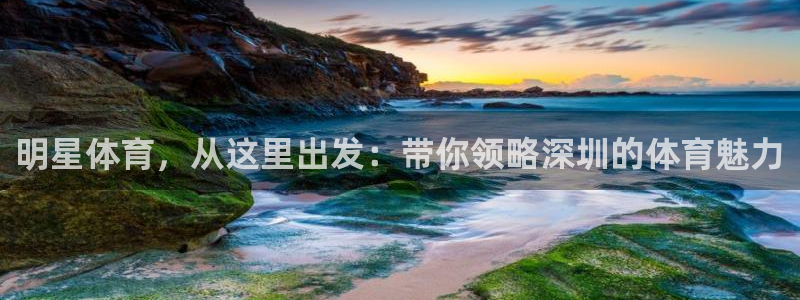 oety欧亿：明星体育，从这里出发：带你领略深圳的体育魅力