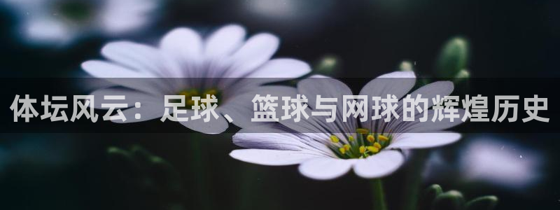 oety欧亿：体坛风云：足球、篮球与网球的辉煌历史