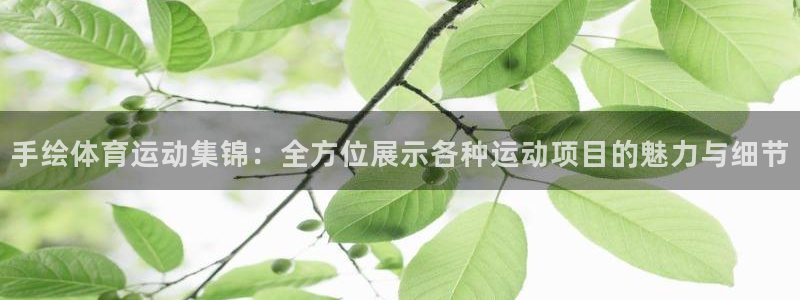 oety欧亿：手绘体育运动集锦：全方位展示各种运动项目的魅力与细节
