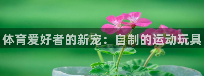 oety欧亿：体育爱好者的新宠：自制的运动玩具